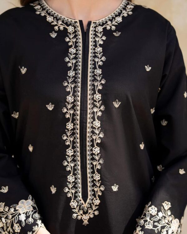 Zareen Embroidered 2pc stitched - Image 3